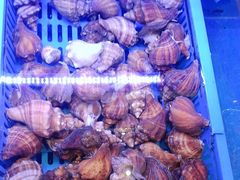 -新海渔港·胶东海鲜家常菜·家宴(奥体中心店)