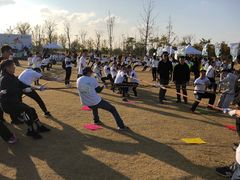 -上海长兴岛郊野公园