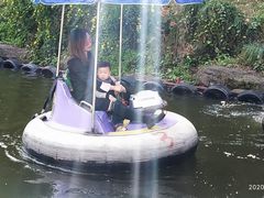 -杭州少年儿童公园
