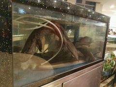 -潮喜竹溪荔湖酒家(荔枝湾店)