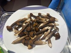 -千岛蚝高压锅生蚝·人参火锅(白云万达店)