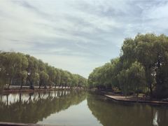 -阮氏酒家(柯桥店)