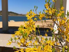 -济南国际园博园