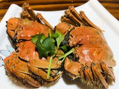 -呼吸森林·生态农庄农家乐私房菜