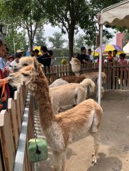 -萌宠亲子动物乐园(槐房万达店)