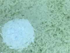 -人和水上飘(第一家店)