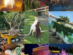 -西霞口神雕山野生动物世界