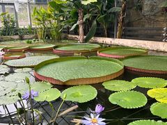 -国家植物园南园