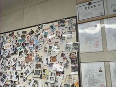 -半岛宠物医院24小时(白果林店)