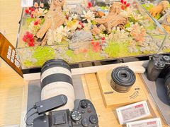 -Sony Store 索尼(上海淮海中路店)