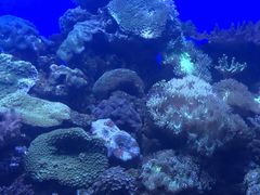 -青岛海底世界-水族馆