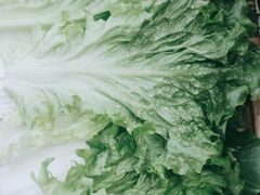 -鸿盛火锅(重庆路店)