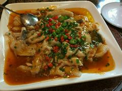 -严记小天府酸菜鱼(西四路店)
