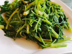 清炒空心菜-新聚丰菜馆(太监弄店)