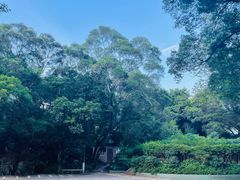 -青芝山风景名胜区