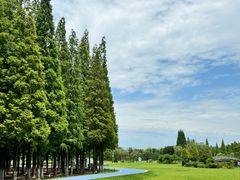 -宜兴龙背山森林公园