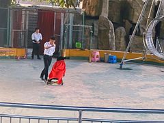 -泉州海丝野生动物世界