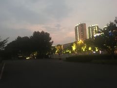 -南京奥林匹克体育中心-体育馆