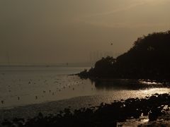 -深圳湾公园(南山区)