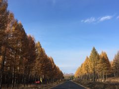 -塞罕坝国家级自然保护区