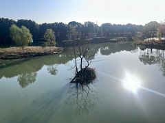 -尚贤河湿地