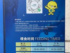 -上海海洋水族馆