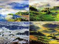 -紫鹊界梯田景区