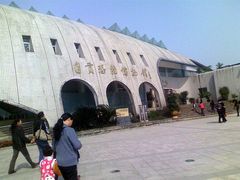 -自贡恐龙博物馆