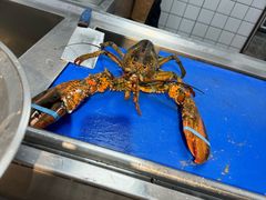 -开海·红岛海鲜虾水饺(石老人店)