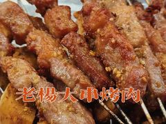 -老杨特色大串烧烤(莲池中心街店)