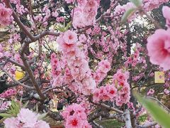 -朝阳公园