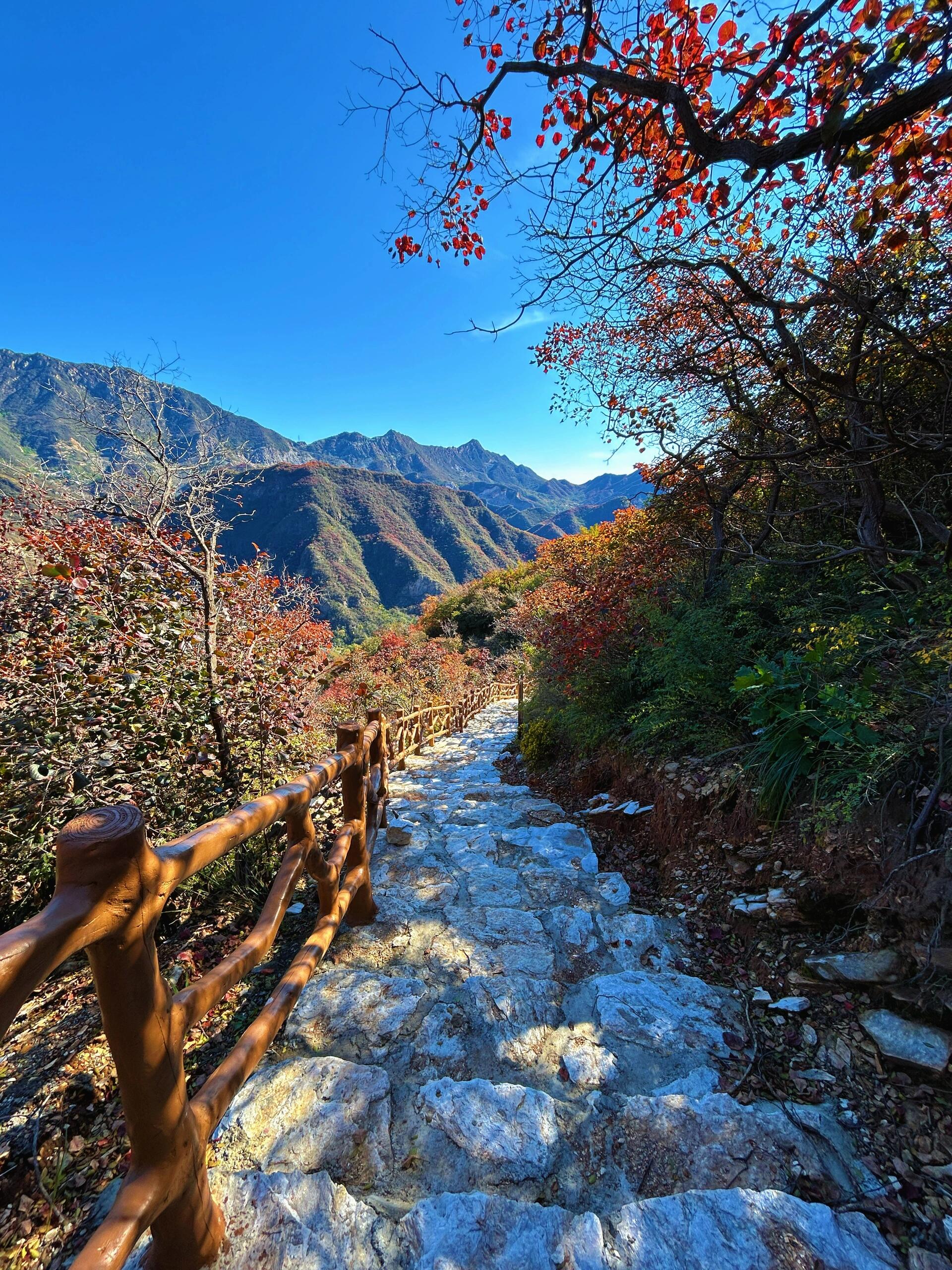 药王谷风景区图片