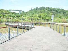 -飞凤山奥体公园