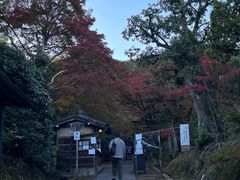 -常寂光寺