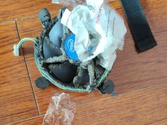 -彤用电脑回收维修(虹口店)