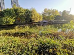 -长白岛森林公园