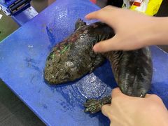 -虎虎龙虾大排档(双井店)