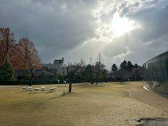 -金泽21世纪美术馆