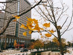 -无锡市市民中心