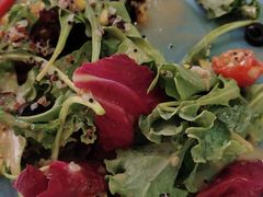 -百好乐宠物友好餐厅(朝外大街店)