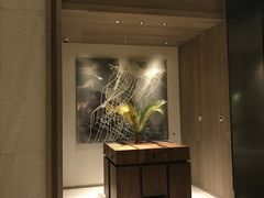 -北京三里屯CHAO酒店