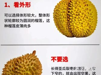 万人问的挑选“报恩榴莲”方法️仅需六步