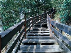 -水濂山森林公园