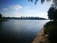 -春花秋色城市公园