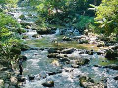 -广州市石门国家森林公园