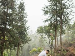 自有山地-彩虹桥宠物火化殡葬善终服务(金乐大厦店)