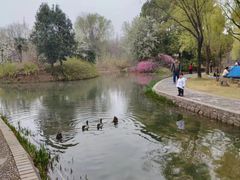 -洛阳市隋唐城遗址植物园