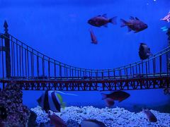 -太平洋海底世界