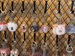 -和它·交个朋友·狗咖猫咖(爱琴海店)