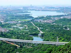 -东莞市大岭山森林公园